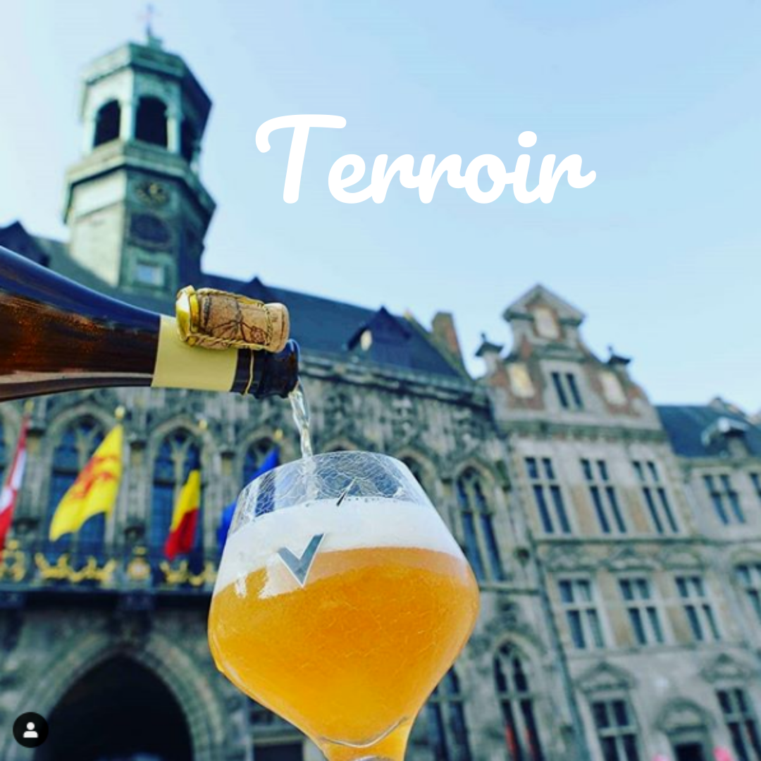 Terroir