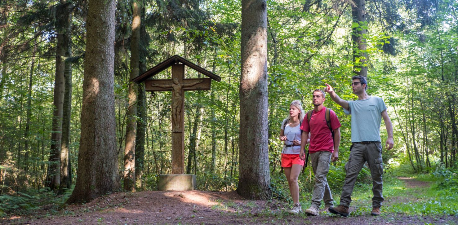 En plein coeur de la Forêt de Chimay, sur le sentier GR des Abbayes trappistes de Wallonie. © WBT - Olivier Legardien