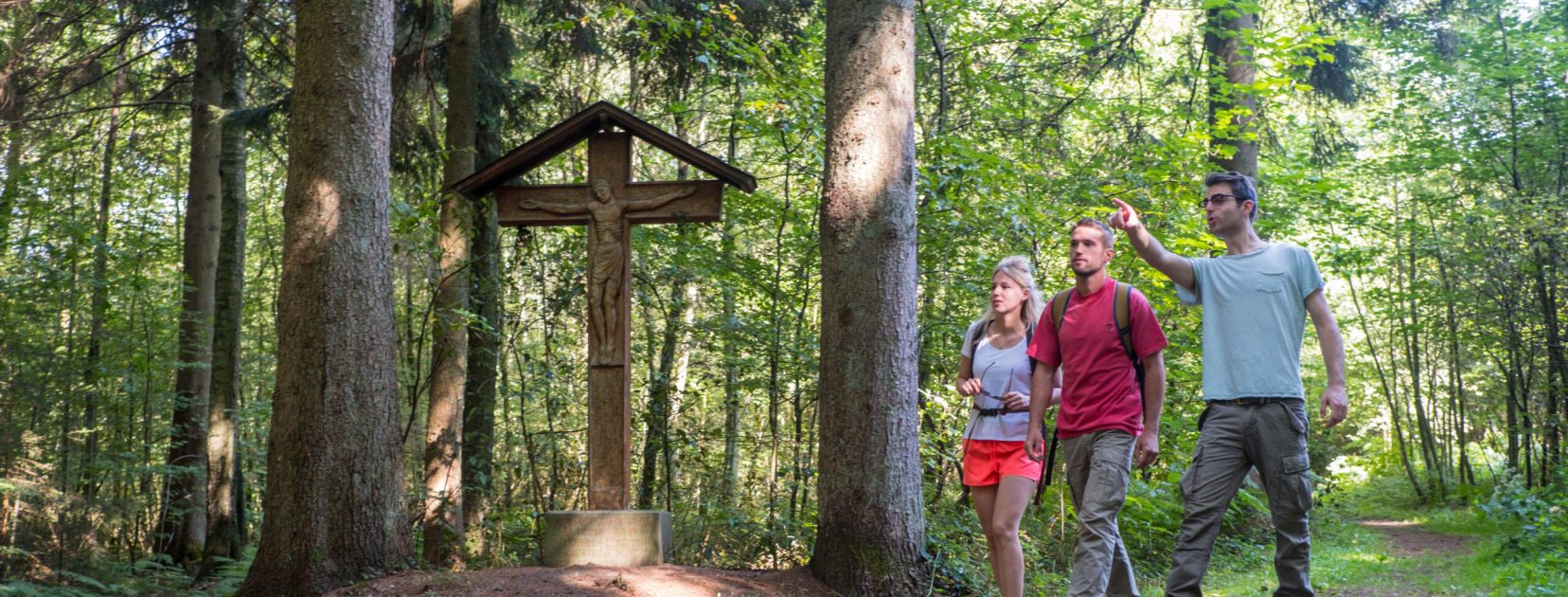 En plein coeur de la Forêt de Chimay, sur le sentier GR des Abbayes trappistes de Wallonie. © WBT - Olivier Legardien